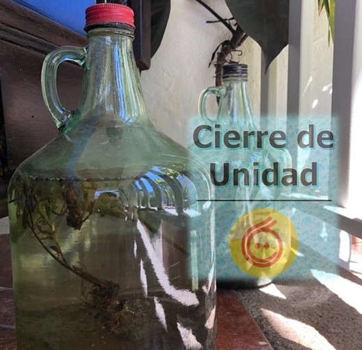 Boletín #2 – En nuestro programa… cierres de unidad